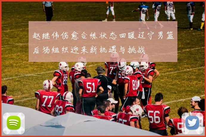 赵继伟伤愈合练状态回暖辽宁男篮后场组织迎来新机遇与挑战